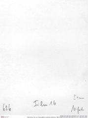 Historisches Foto von Cracensigillatus acutirostris (Moericke, 1889) (NHMW-AFW-GEO-BACHMAYER-FOTO-1990-0041-0626)